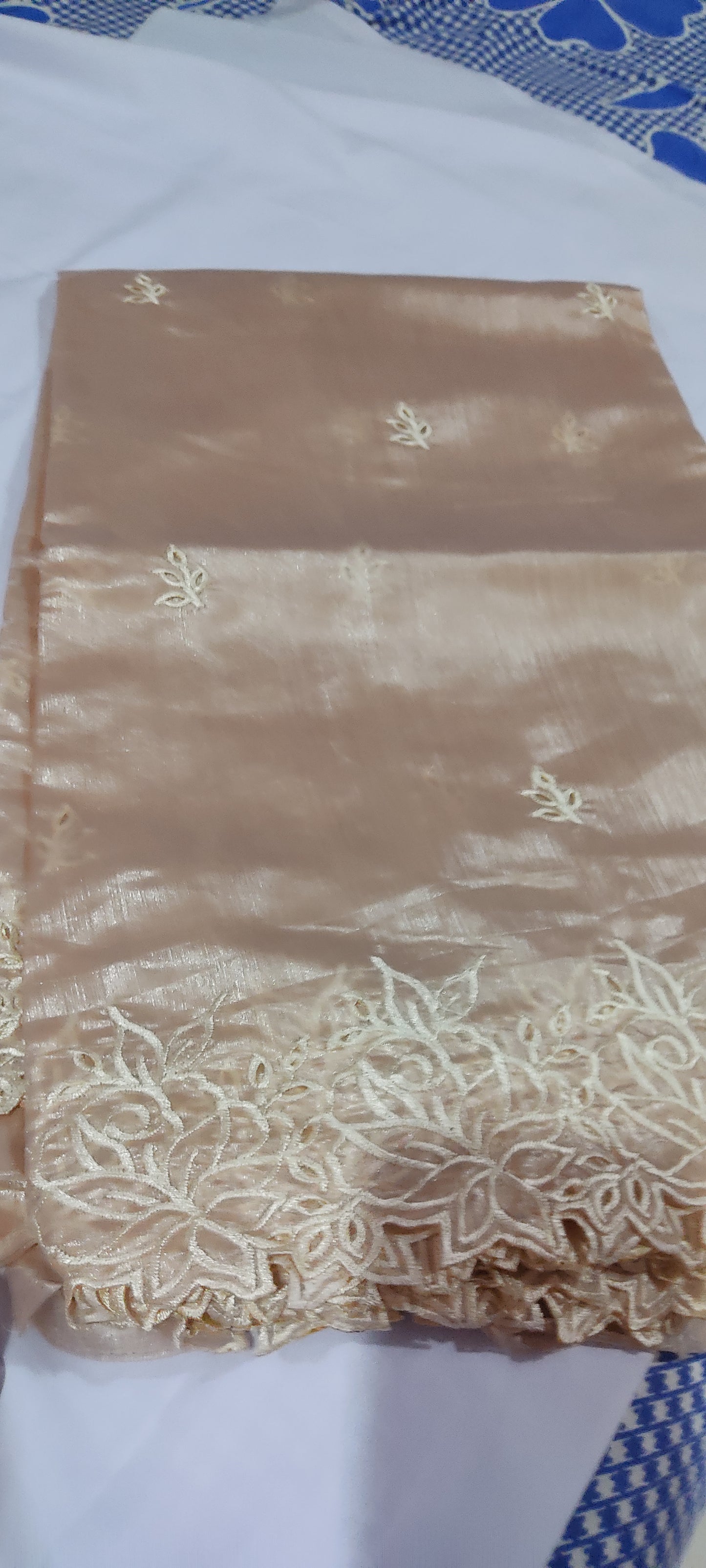 Rangeen silk saree