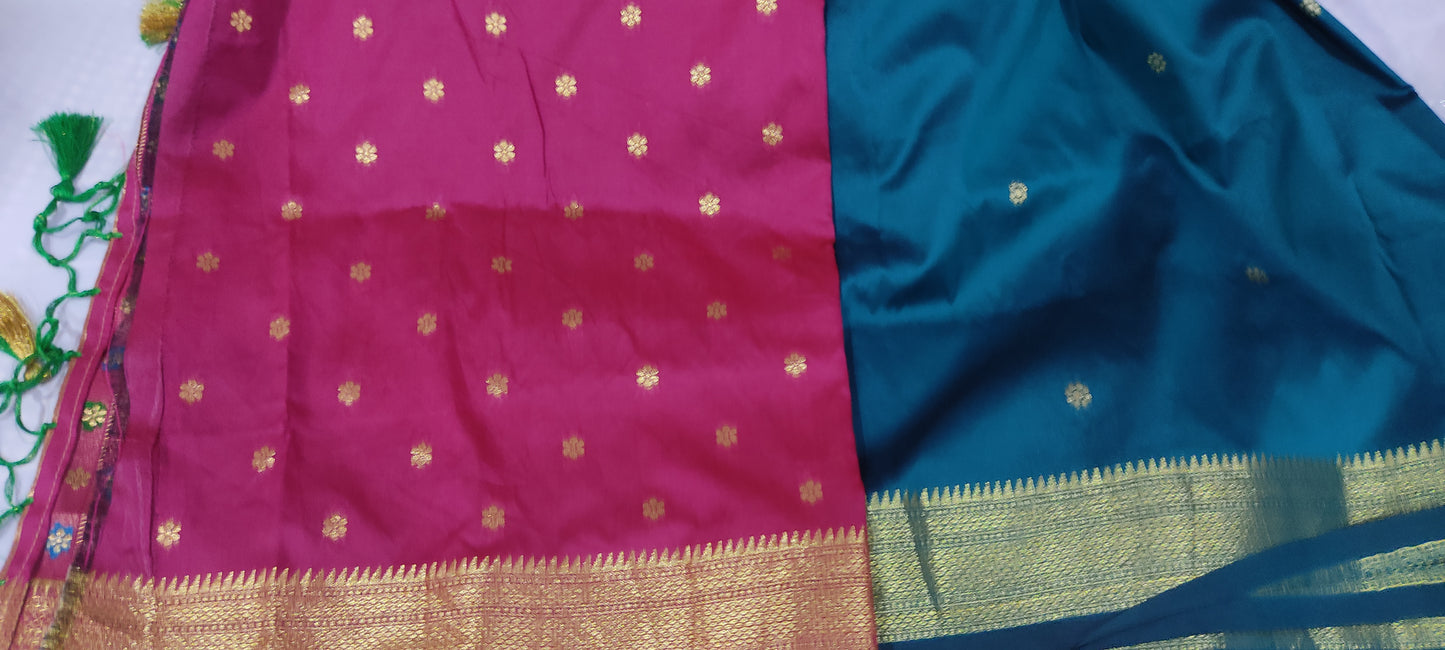 Banarsi silk paithani